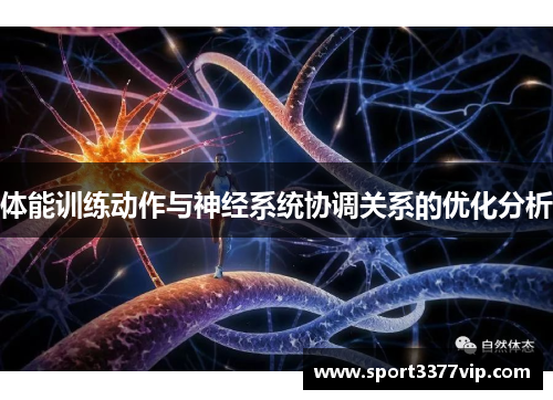 体能训练动作与神经系统协调关系的优化分析